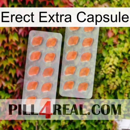 Erect Extra Capsule 27